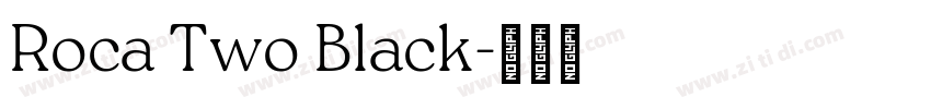 Roca Two Black字体转换